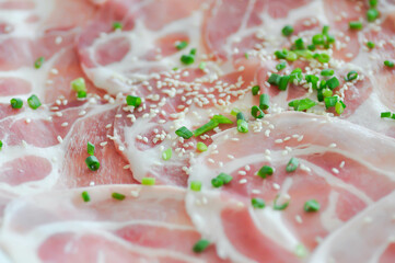 sliced pork or raw pork  for cook