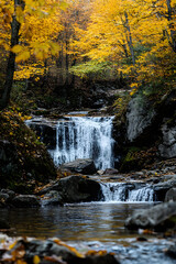 Serene Autumn Waterfall in a Forest of Vibrant Colors : Generative AI