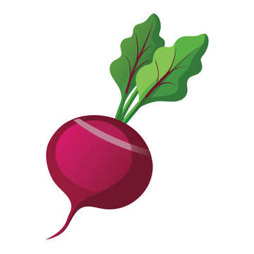 purple beet with green leaves clip art preview