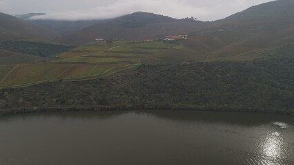 Aerial view of Vineyards in Douro valley - a unesco world heritage site in Portugal on a day with cloudy sky.