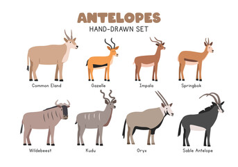 Antelope cartoon clipart set. Common eland, gazelle, impala, wildebeest, kudu, oryx, sable antelope vector illustrations in flat style. Hand-drawn wild animal concept