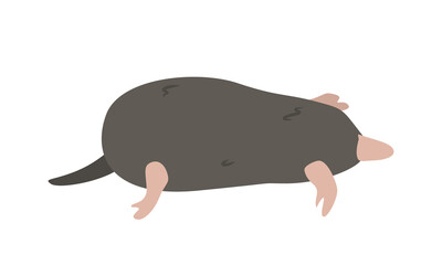 Common mole cartoon clipart. Northern mole vector illustration in flat style. Hand-drawn wild animal concept
