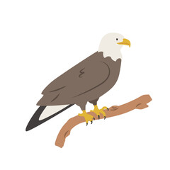 Bald eagle cartoon clipart. Eagle vector illustration in flat style. Hand-drawn wild animal concept