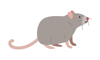 Brown rat cartoon clipart. Big mouse rat vector illustration in flat style. Hand-drawn wild animal concept