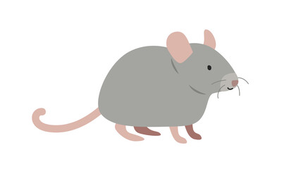 House mouse cartoon clipart. House mouse vector illustration in flat style. Hand-drawn wild animal concept