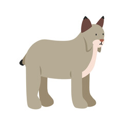 Canada lynx cartoon clipart. Lynx vector illustration in flat style. Hand-drawn wild animal concept