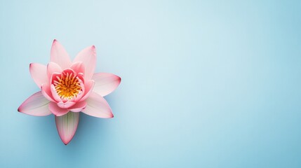 Obraz premium A solitary pink lotus flower in a serene light blue background, overhead shot, Peaceful style