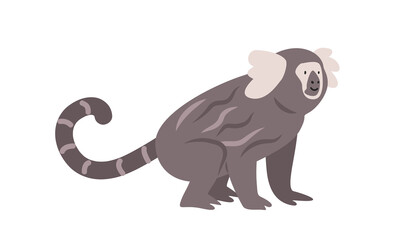 Common marmoset cartoon clipart. White-tufted marmoset vector illustration in flat style. New World monkey. Hand-drawn wild animal concept