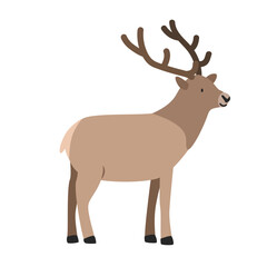 Elk cartoon clipart. Elk or wapiti vector illustration in flat style. Hand-drawn wild animal concept
