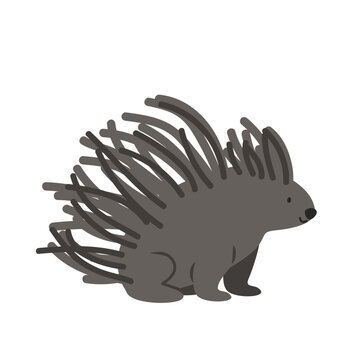 Porcupine cartoon clipart. Porcupine vector illustration in flat style. Hand-drawn wild animal concept
