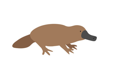 Duck-billed platypus cartoon clipart. Platypus vector illustration in flat style. Hand-drawn wild animal concept