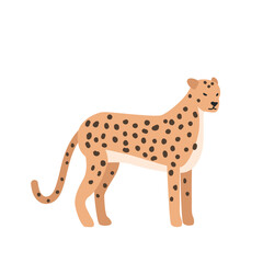 Cheetah cartoon clipart. Cheetah vector illustration in flat style. Hand-drawn wild animal concept