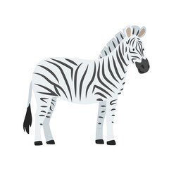 Zebra cartoon clipart. Zebra vector illustration in flat style. Hand-drawn wild animal concept
