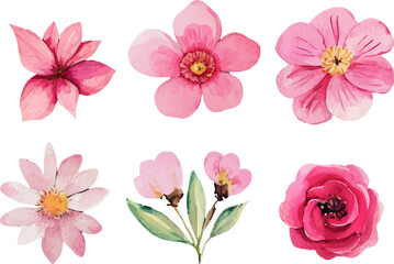 Watercolor Spring Flowers