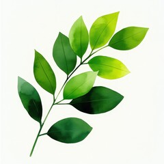 Obraz premium Green business, eco company, white backdrop