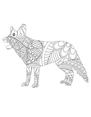 Fototapeta premium Animal Coloring Book