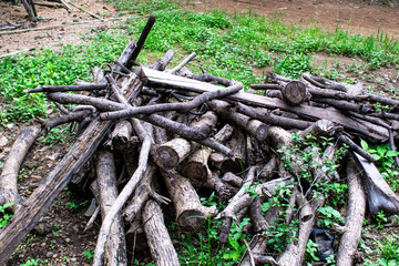 Stack of Firewood Logs in Natural Outdoor Setting for Rural Use