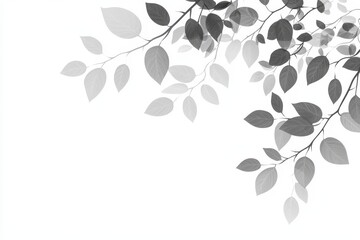 Obraz premium Monochrome leaves branch, white background.