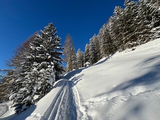 Wonderful winter hiking trails and traces in the fresh alpine snow cover of the Swiss Alps and over the tourist resort of Davos - Canton of Grisons, Switzerland (Kanton Graubünden, Schweiz)