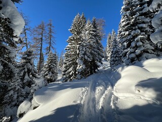Wonderful winter hiking trails and traces in the fresh alpine snow cover of the Swiss Alps and over the tourist resort of Davos - Canton of Grisons, Switzerland (Kanton Graubünden, Schweiz)
