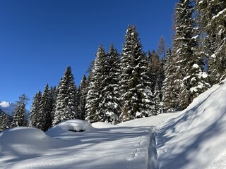Wonderful winter hiking trails and traces in the fresh alpine snow cover of the Swiss Alps and over the tourist resort of Davos - Canton of Grisons, Switzerland (Kanton Graubünden, Schweiz)