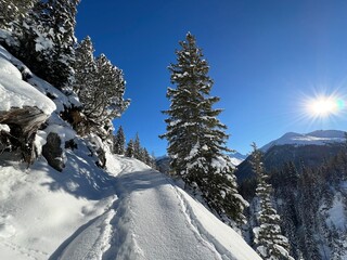 Fototapeta premium Wonderful winter hiking trails and traces in the fresh alpine snow cover of the Swiss Alps and over the tourist resort of Davos - Canton of Grisons, Switzerland (Kanton Graubünden, Schweiz)