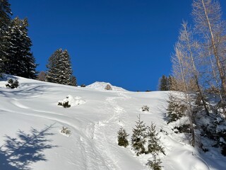 Obraz premium Wonderful winter hiking trails and traces in the fresh alpine snow cover of the Swiss Alps and over the tourist resort of Davos - Canton of Grisons, Switzerland (Kanton Graubünden, Schweiz)
