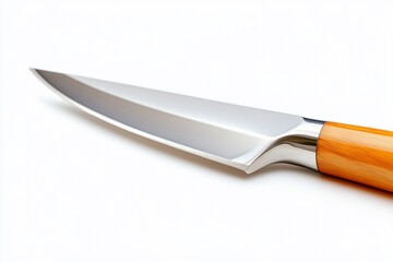 A sleek kitchen knife with a wooden handle on a white background.