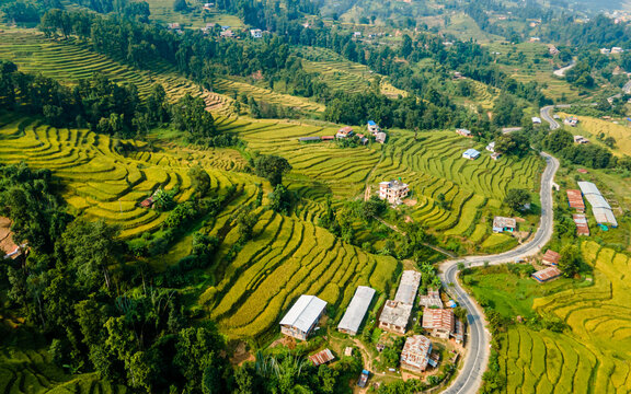 aerial view of terrace paddy farmland in Nuwakot, Nepal. - Powered by Adobe