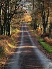Obraz premium Peaceful country road stretching through golden autumn forest at sunset : Generative AI