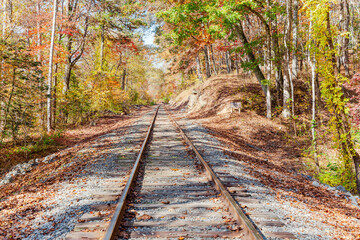 Obraz premium Railroad Tracks in the Fall