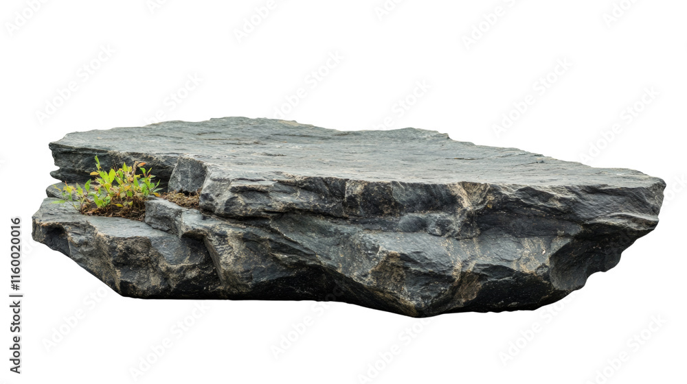 Poster flat rock podium for product display. isolated transparent background
