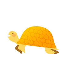 亀（金色）