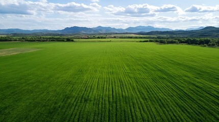 Fototapeta premium Expansive Green Farmland with Mountain Range Panorama Under Blue Skies : Generative AI
