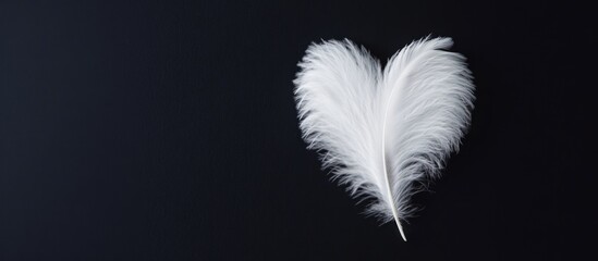 Obraz premium White Feather in Heart Shape on Black Background: Symbol of Love, Purity, and Tranquility