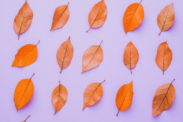 Obraz premium Violet Background Adorned with a Pattern of Diverse Dry Orange Metallic Leaves
