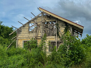Fototapeta premium Abandoned rural house overgrown with plants under a cloudy sky