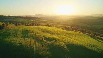 Obraz premium Sunlit rolling green hills at sunset.