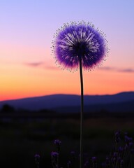 Fototapeta premium Purple Flower Silhouette Against Sunset Sky