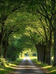 Fototapeta premium Serene Rural Pathway Lined with Lush Green Trees Creating Natural Tunnel : Generative AI