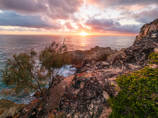 Coastal Sunrise with Rocks and Trees
