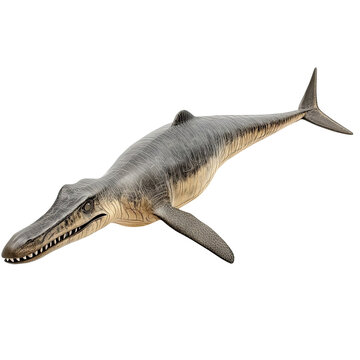 Angled view full body shot of an extremely perfect looking single Ichthyosaurus animal isolated on a white transparent background