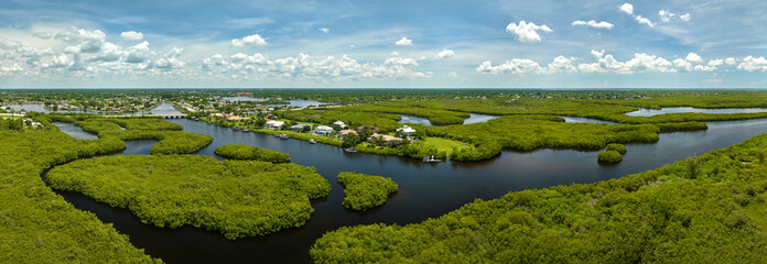 Aerial view of rural private houses in remote suburbs located near Florida wildlife wetlands with green vegetation on sea bay shore. Living close to nature concept