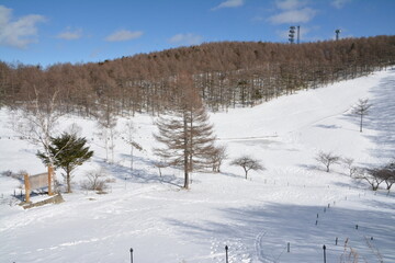 冬の入笠湿原