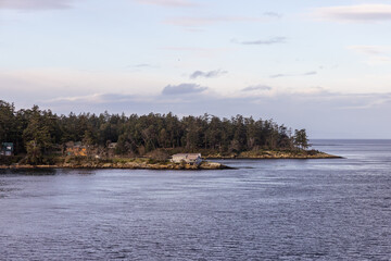 Scenic View of Forested Island with Coastal Landscape in Sunset Lighting