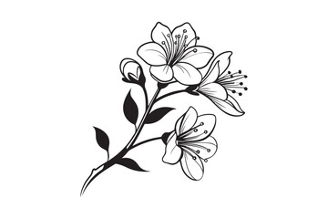 Tiny Flower silhouette vector illustration, Tiny Flower silhouette 