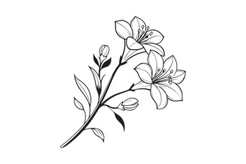 Tiny Flower silhouette vector illustration, Tiny Flower silhouette 
