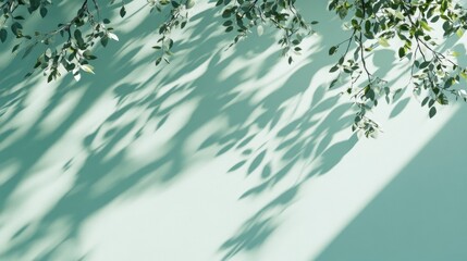 Sunlight casts shadows of leaves on a light green wall.