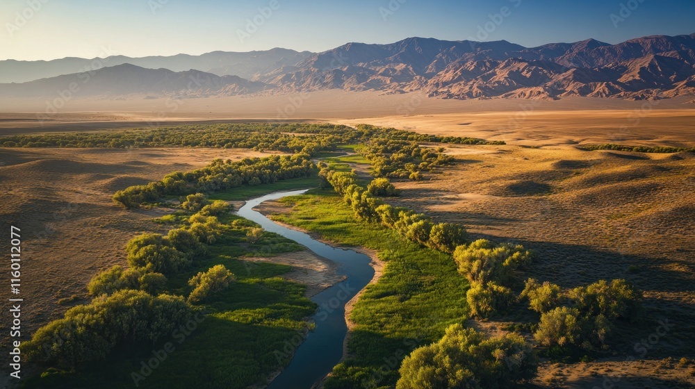 Poster aerial view of a river flowing through a desert landscape with mountains in the background.