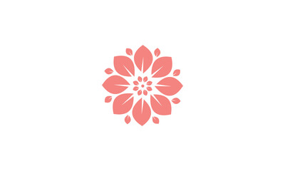 pink flower on white background